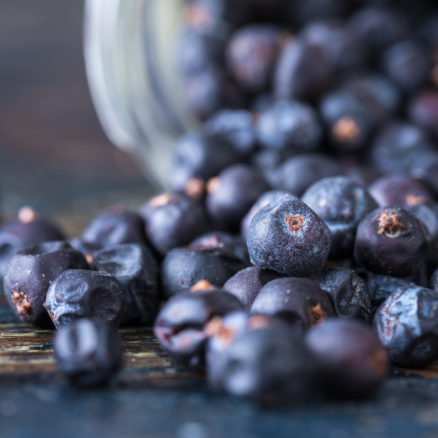 Juniper Berries | Dried | Piney | Bold & Aromatic
