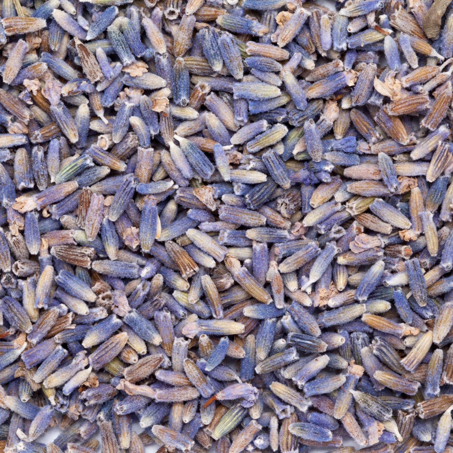 Full-frame texture image of dried lavender buds showing detailed colour variations and natural surface grain, created for The Herb Shed Wollongong.