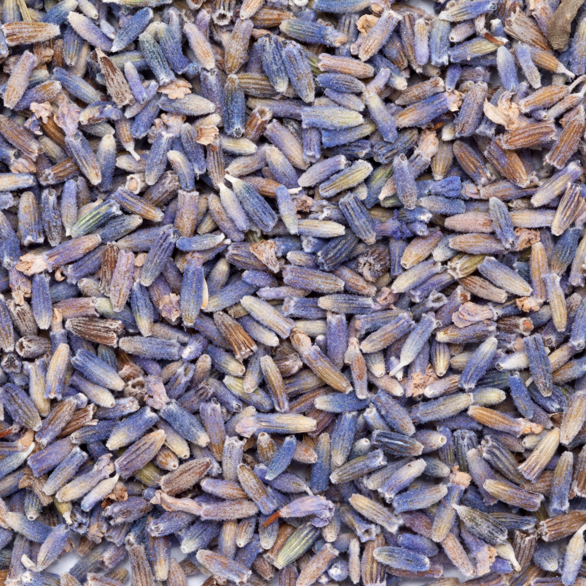 Full-frame texture image of dried lavender buds showing detailed colour variations and natural surface grain, created for The Herb Shed Wollongong.