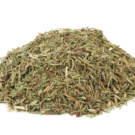 Horsetail | Historic | Strengthening | Mineral Rich