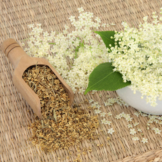 Meadowsweet Cut Herb| Floral | Gentle | Restorative