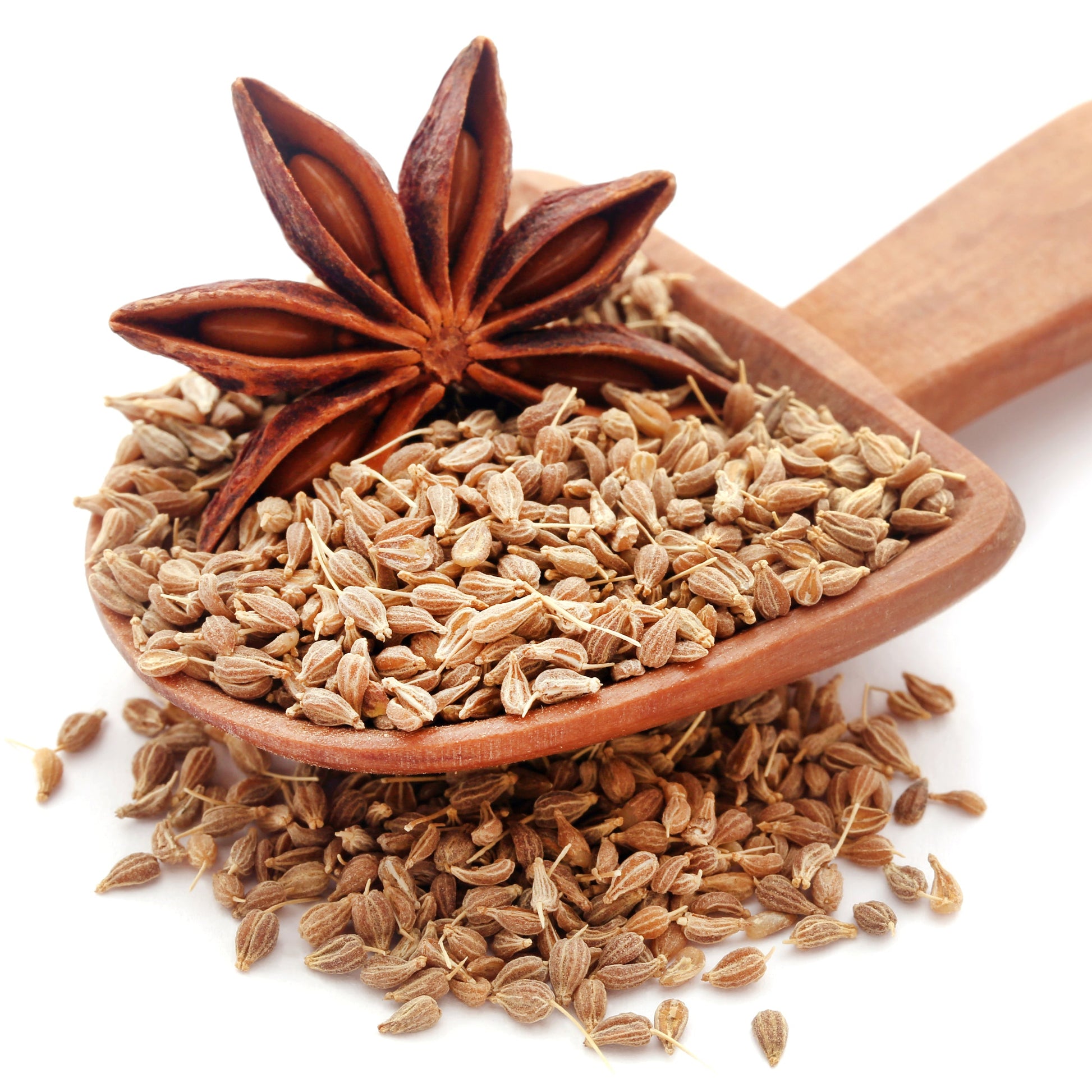 Organic Aniseed seeds – sweet aromatic spice for baking, teas & liqueurs, hand-packed in Wollongong by The Herb Shed