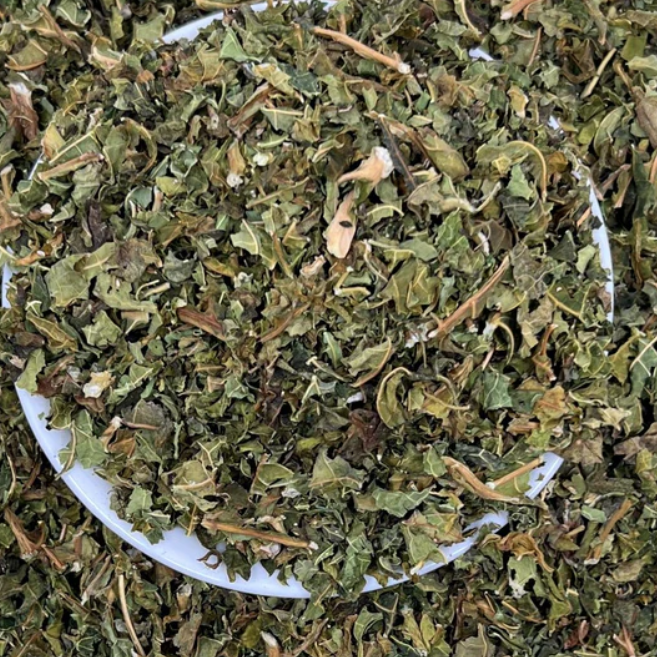 Paw Paw Leaf | Herbaceous | Steadying | Green