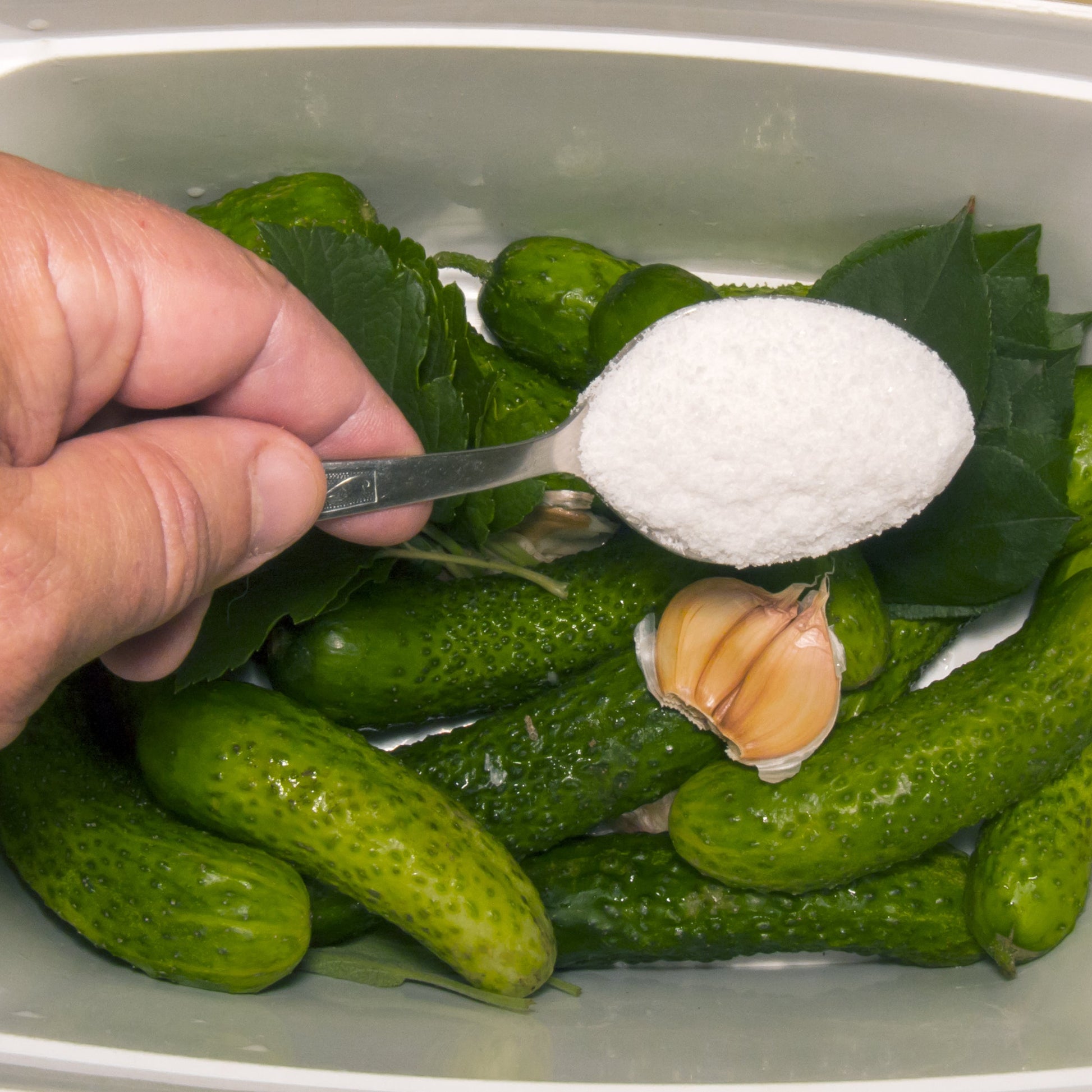 A hand holding a spoon filled with white salt over a white plastic container of pickled cucumbers, green leaves, and garlic cloves.