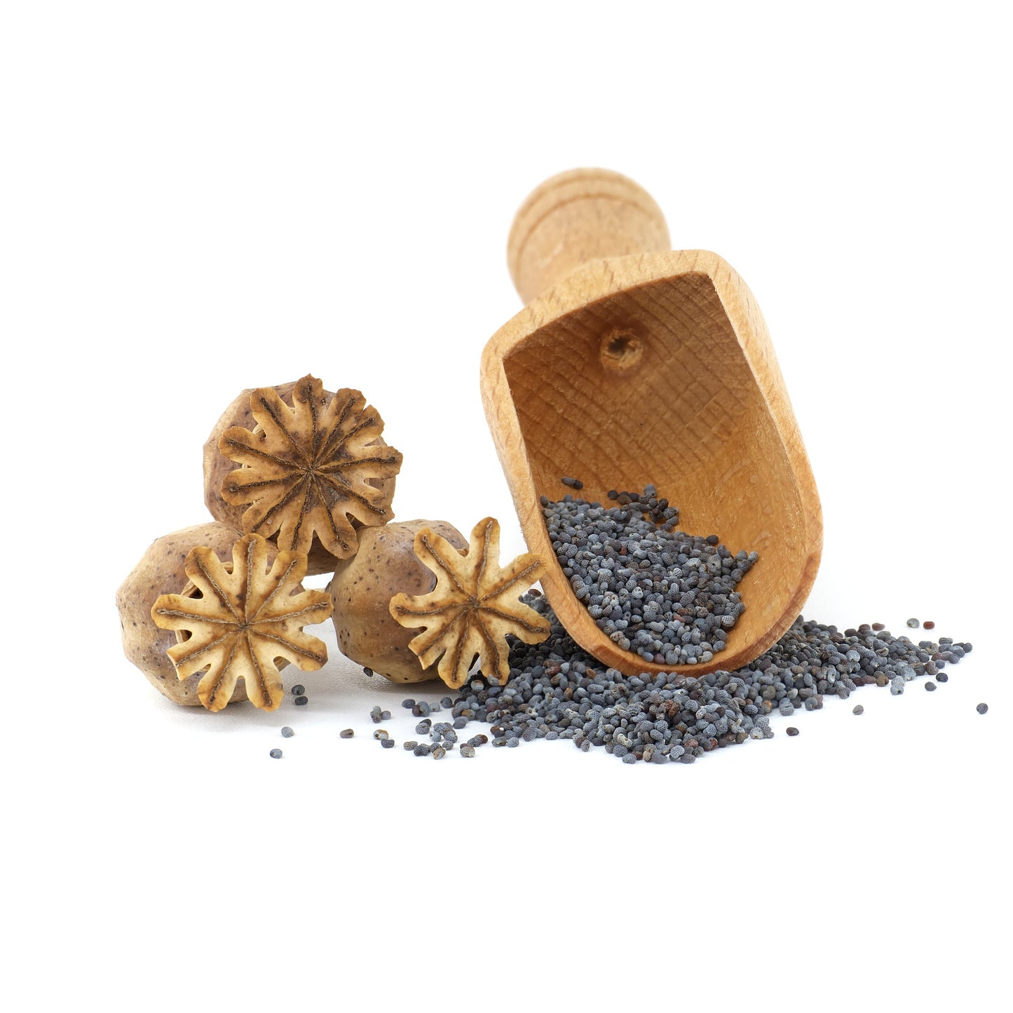 Poppy Seeds | Tiny, Crunchy & Delicate