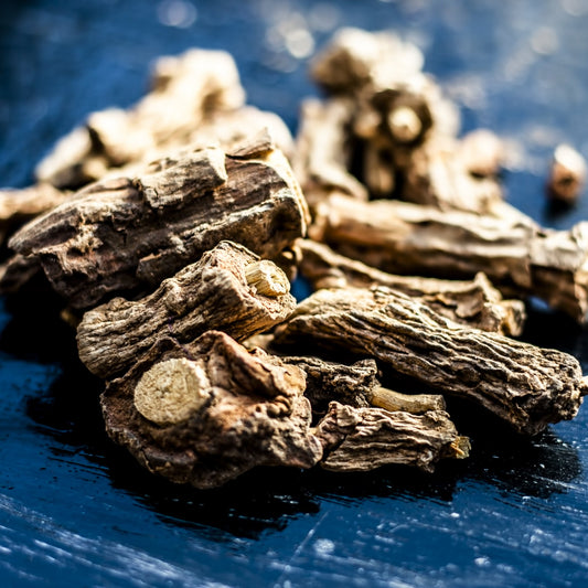 Sarsaparilla | Root | Earthy | Spicy | Restorative