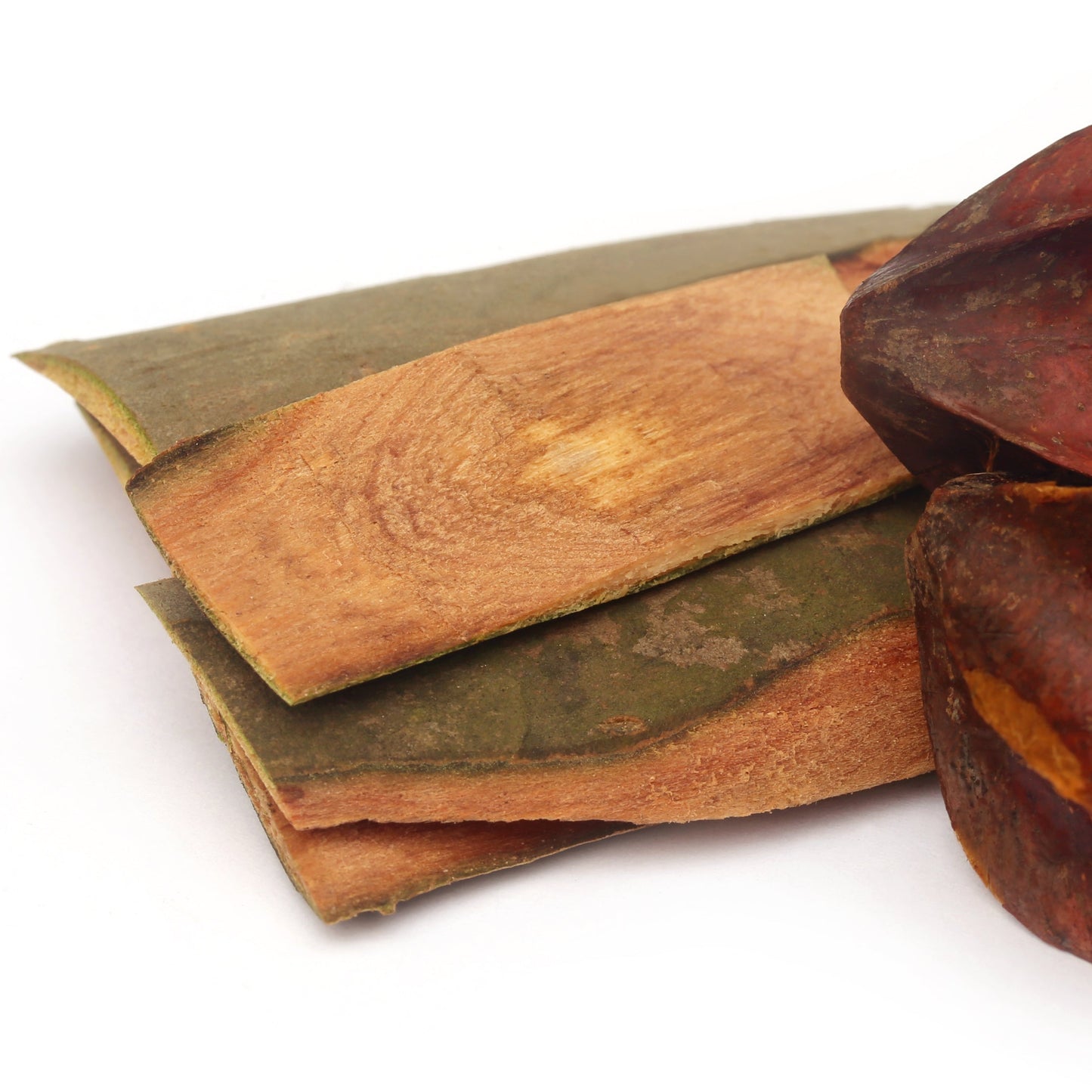Whole arjuna bark pieces in natural red-brown tones for The Herb Shed Wollongong.