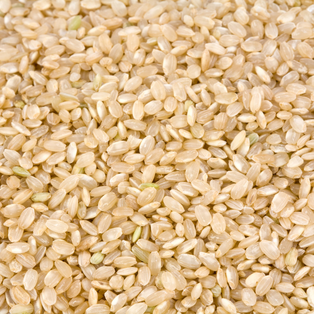 A detailed close-up of uncooked Australian Brown Medium Grain Rice showing the natural tan and golden-brown shades, oval grain shapes and slightly textured outer bran layers, from The Herb Shed Wollongong Australia.