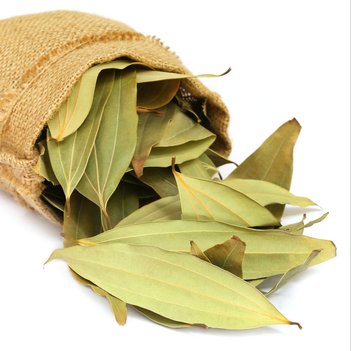 Whole dried bay leaves spill from a small hessian sack against a white background, showing their elongated shape and natural pale green colouring.