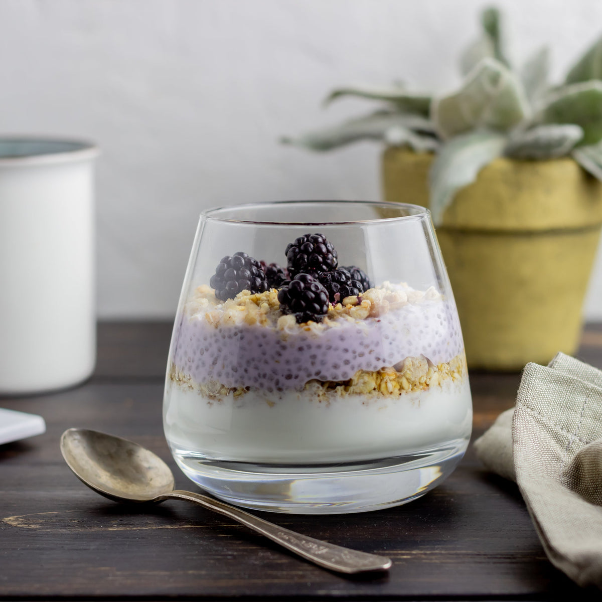 A glass of chia pudding topped with Black Chia Seeds and blueberries, showing chia seeds used in a simple breakfast or snack.