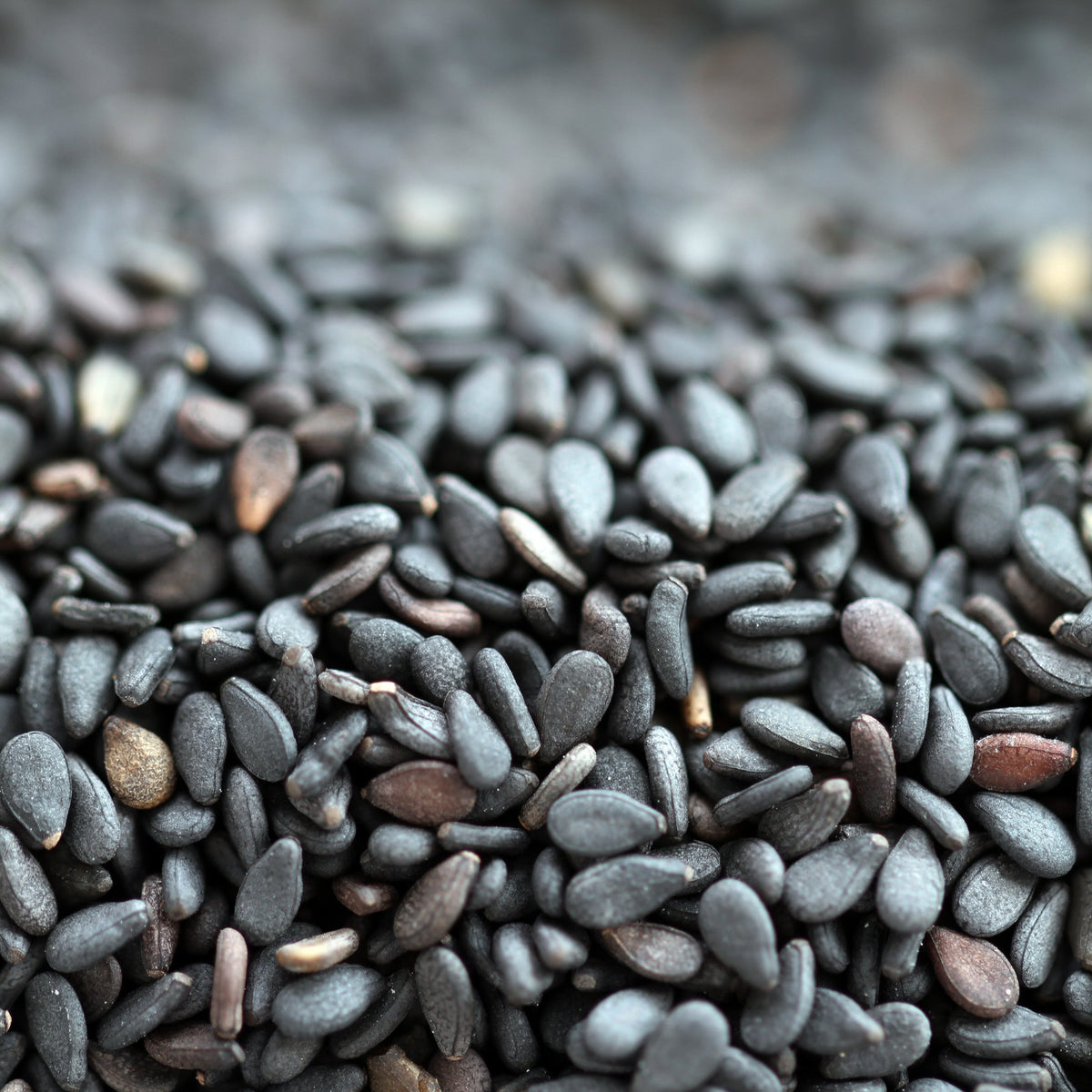 A close-up of Black Sesame Seeds showing the individual small oval seeds and their naturally dark grey and black colouring.