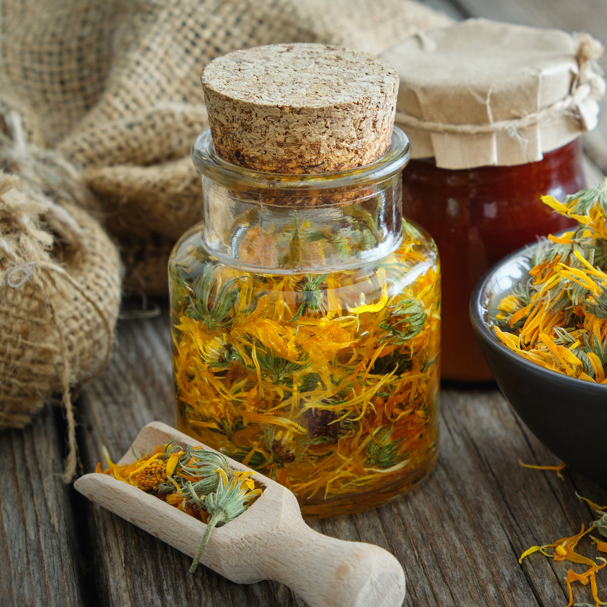 Dried calendula petals are shown infusing in glass jars of oil, with loose calendula petals arranged nearby, showing a preparation use for The Herb Shed Calendula Petals Dried.