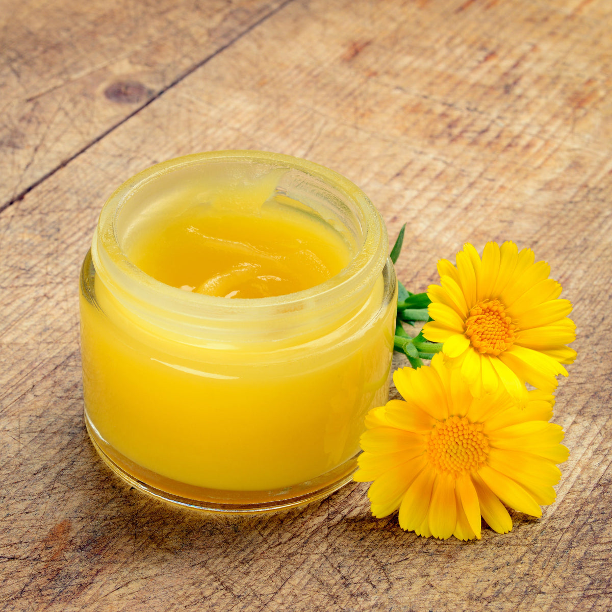 A small open jar of golden calendula salve sits on a rustic wooden surface beside a fresh yellow calendula flower.