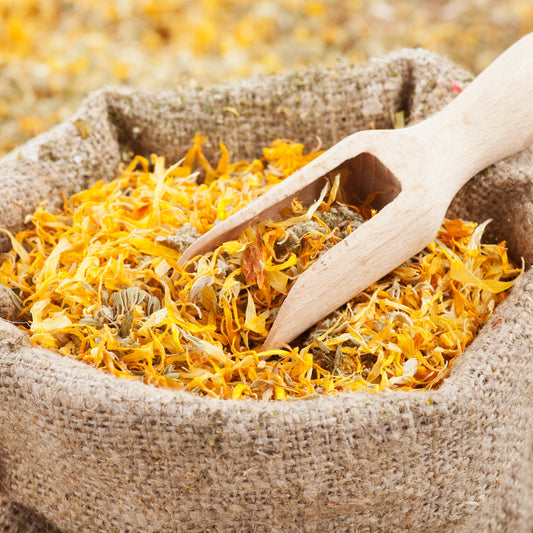 Dried calendula petals fill a wooden scoop resting on a bed of loose petals, showing their delicate texture and natural yellow and orange colouring.
