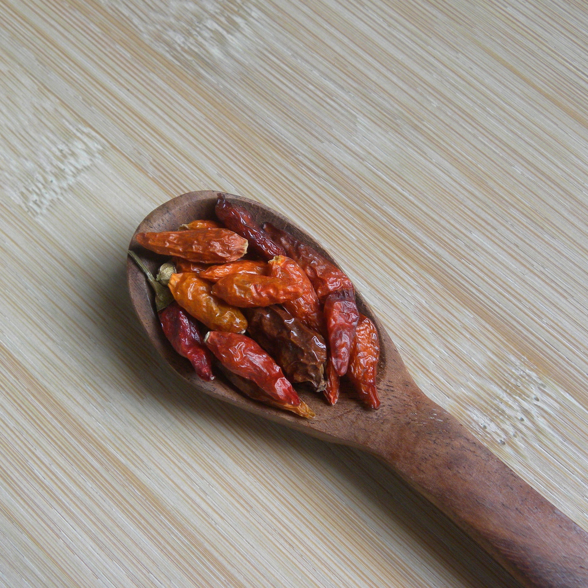 A close-up of a dried Birds Eye chilli pod held between fingers, showing its small tapered shape, wrinkled skin and deep red-brown colour.