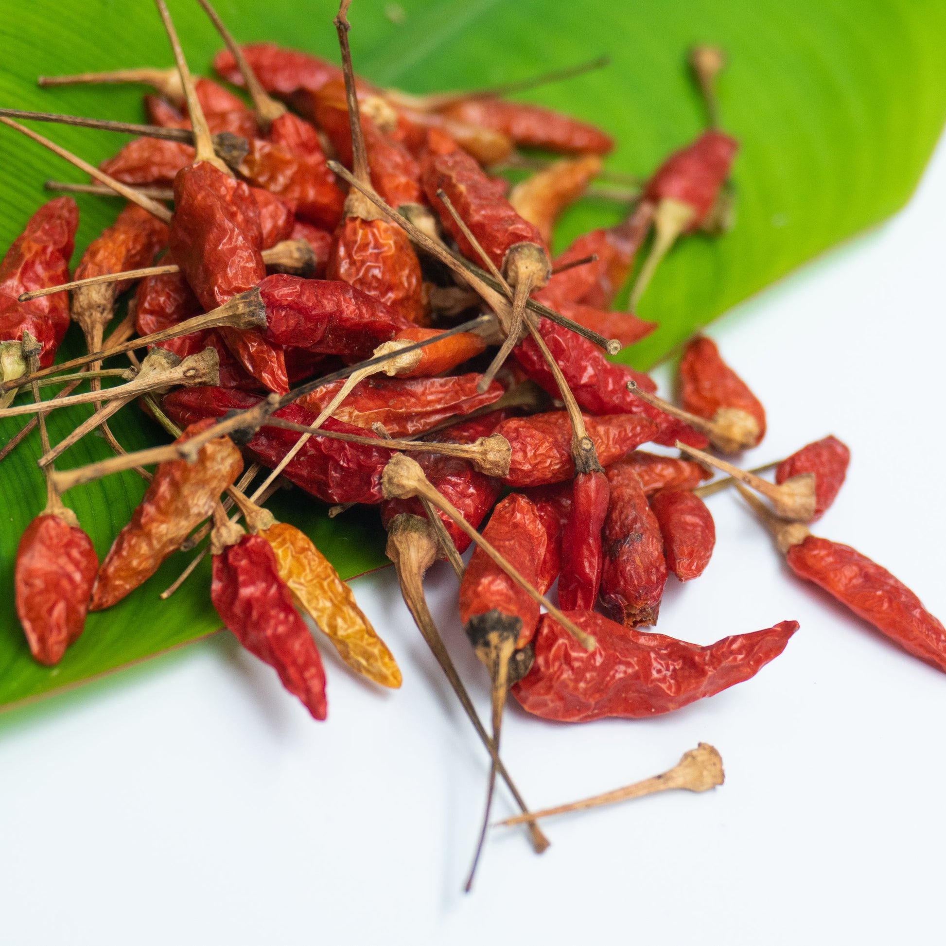 A pile of whole dried Birds Eye chilli pods rests on a green leaf, showing their small tapered shape and vibrant red colouring.
