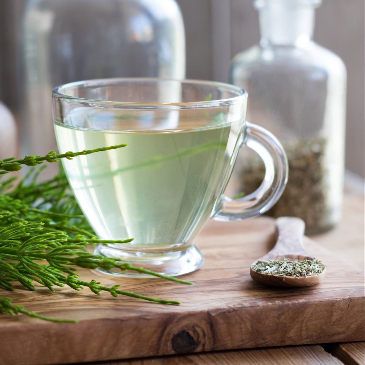 A clear glass cup of pale green herbal tea beside fresh horsetail stems, showing Dried Horsetail Leaf from The Herb Shed in Wollongong, Australia, prepared as a herbal infusion.