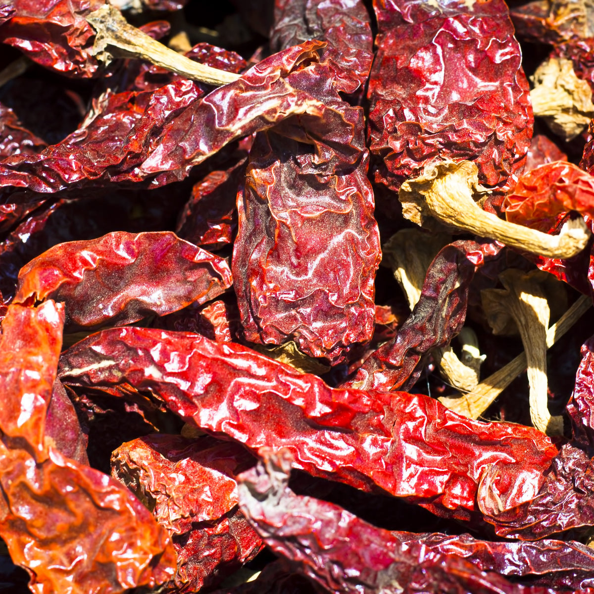 A close-up of whole dried Kashmiri chilli pods showing their wrinkled skin, elongated shape and rich deep red colouring.