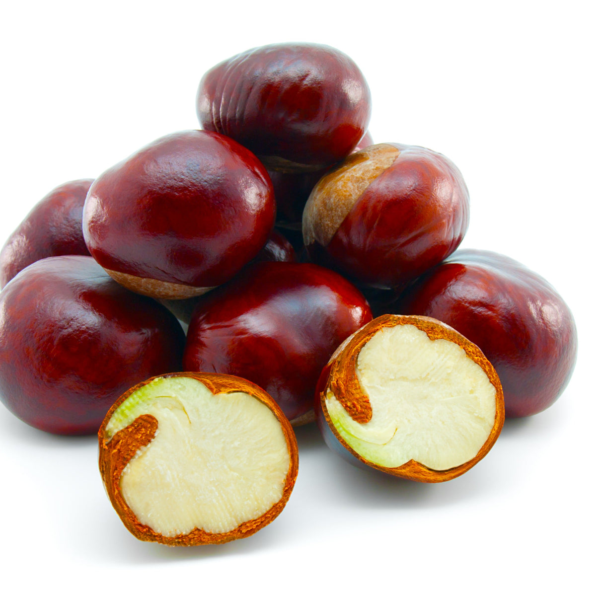 Whole glossy brown horse chestnuts are shown against a white background, with cut chestnuts revealing the pale cream interior of the seeds.