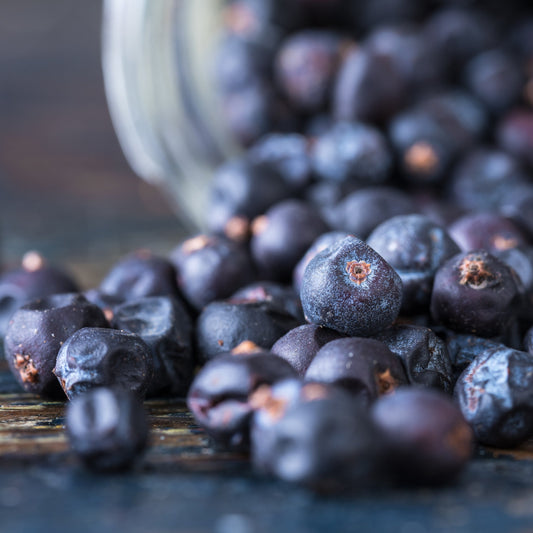A close-up of Juniper Berries Dried from The Herb Shed Wollongong, Australia, showing their naturally dark blue-black colouring and textured surface.