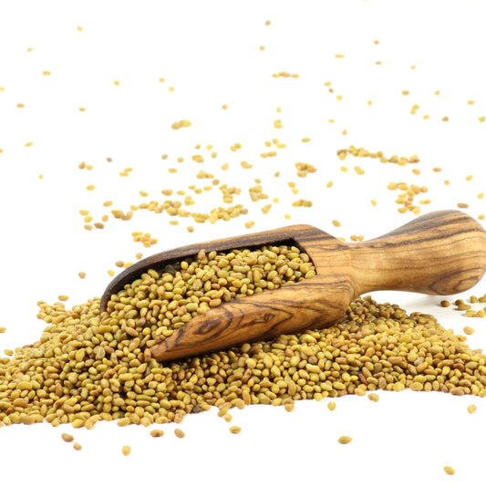 Organic Alfalfa Seeds spill from a wooden scoop onto a white surface, showing the small golden-brown seeds and their natural texture.