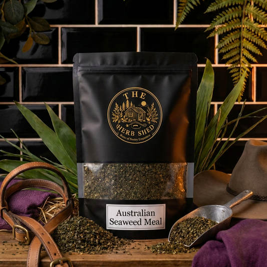 A black stand-up pouch of Australian Seaweed Meal by The Herb Shed, displayed on a rustic wooden surface with a leather strap, metal scoop, purple cloth, and green ferns against a black tiled background.