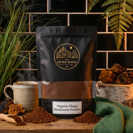 A black stand-up pouch of The Herb Shed Organic Chaga Mushroom Powder sits on a wooden surface with loose chaga powder, chunks of chaga mushroom and a prepared drink, surrounded by green foliage and soft green fabric against a black tiled background.