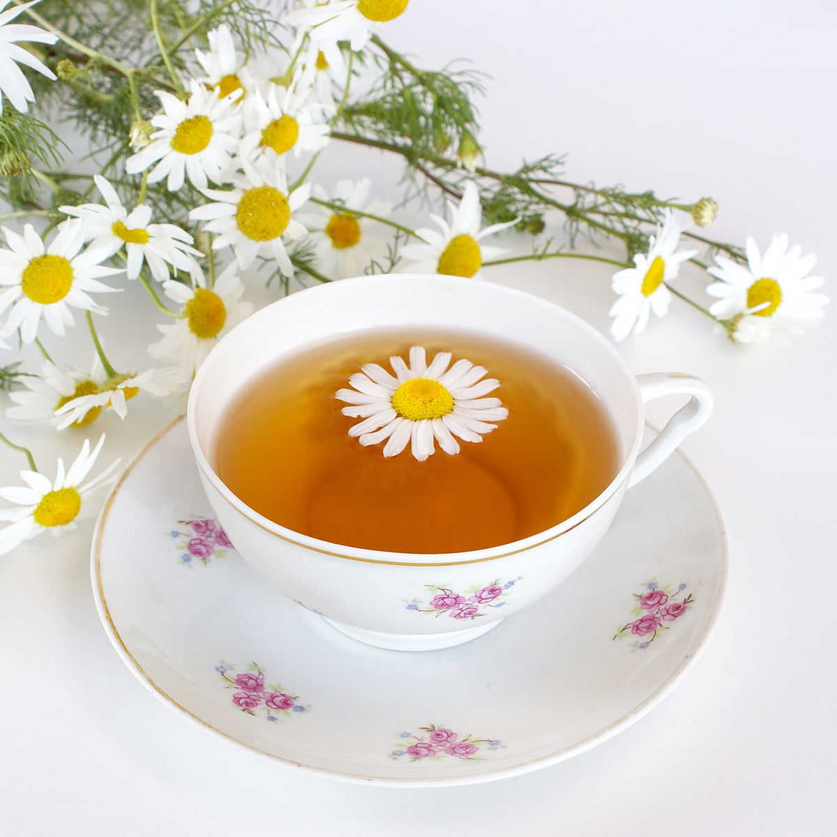 A floral teacup filled with golden chamomile tea sits among fresh white and yellow chamomile flowers, showing Organic Chamomile Bag Cut Tea as a prepared herbal infusion.