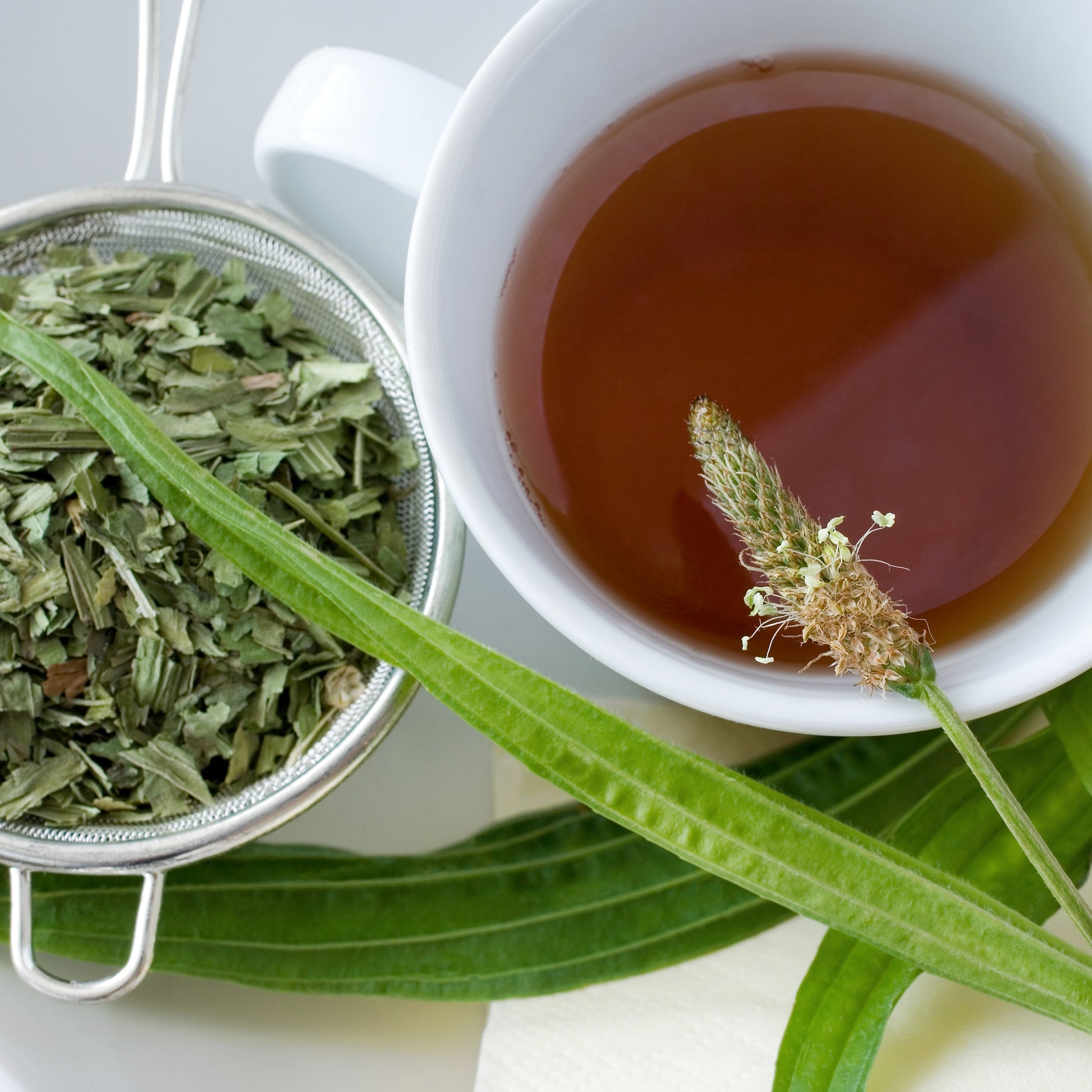 A glass cup of brewed plantain tea sits beside fresh green plantain leaves and a small bowl of dried plantain.
