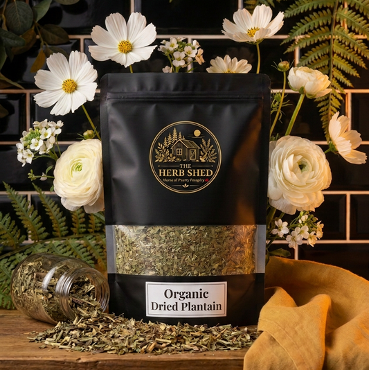 A black stand-up pouch of The Herb Shed Organic Dried Plantain sits on a wooden surface with loose dried plantain, cream and white flowers, greenery and a mustard-coloured cloth, against a black tiled background.