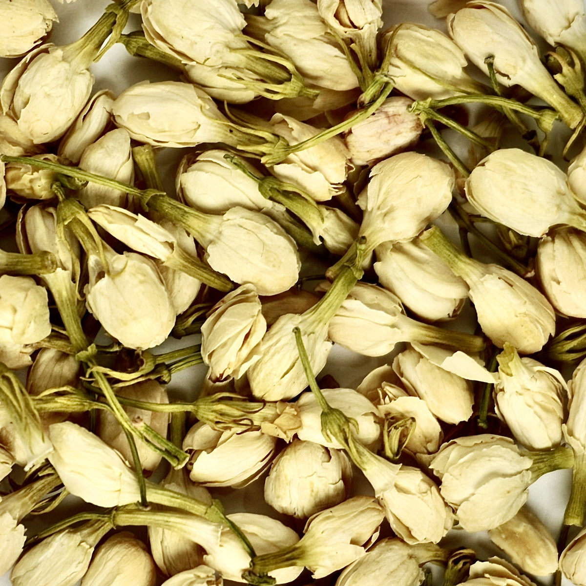 A close-up of Organic Jasmine Flower Buds from The Herb Shed Wollongong, Australia, showing the small dried buds with their naturally pale cream and soft green colouring.