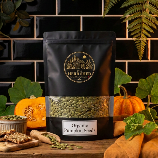 A black stand-up pouch of The Herb Shed Organic Pumpkin Seeds sits on a wooden surface with loose green pumpkin seeds, fresh pumpkins, pumpkin leaves, cinnamon sticks and warm orange fabric, against a black tiled background with a fern.
