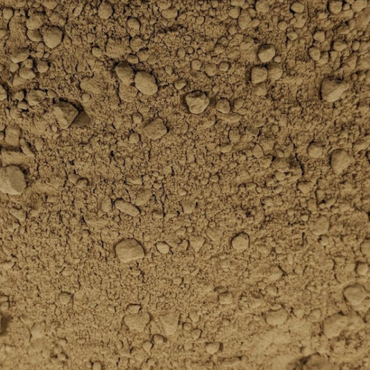 A close-up of organic rhubarb root powder showing its fine, earthy brown texture.