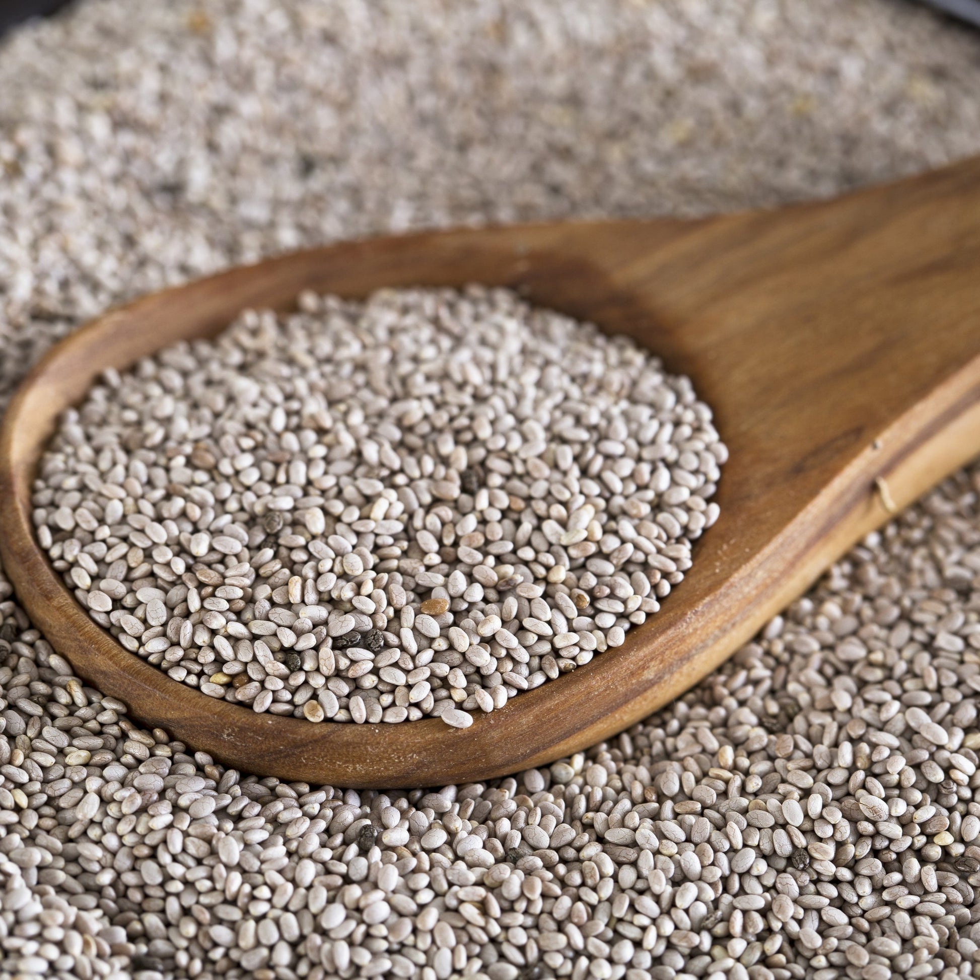 Organic white chia seeds in a wooden spoon