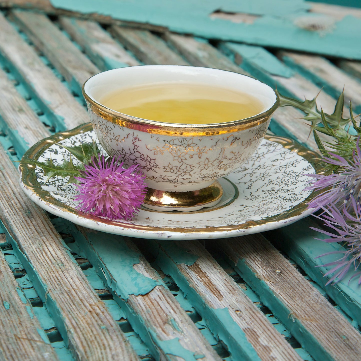 St Mary’s Thistle tea with purple thistle flower
