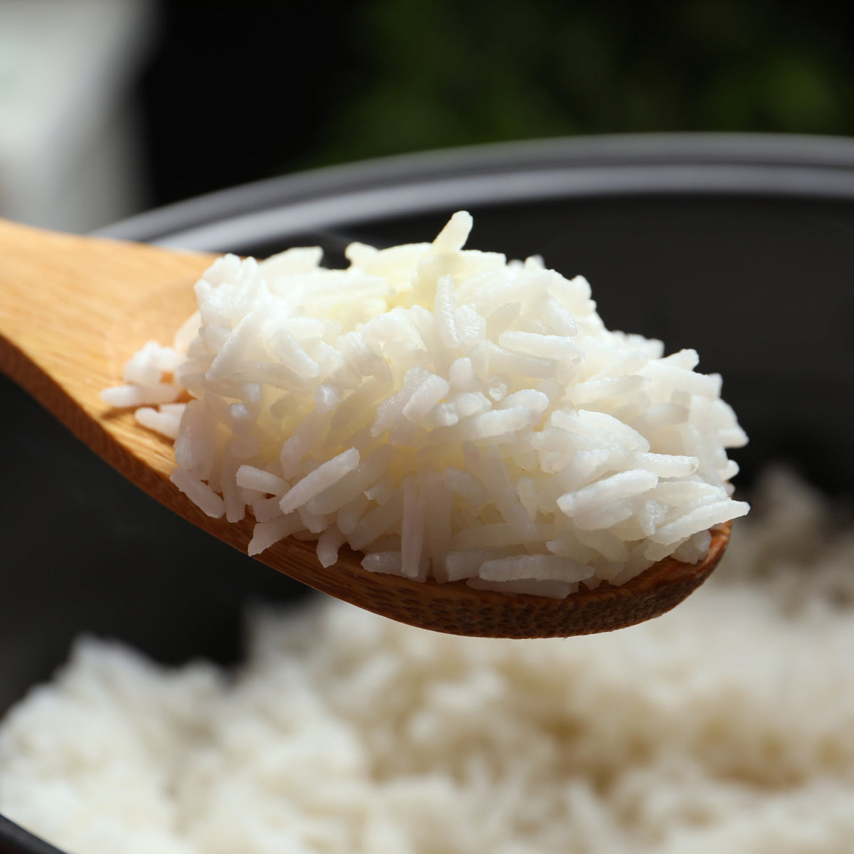 A wooden spoon lifting a portion of fluffy steamed Thai Jasmine Rice from a dark bowl, showing the soft texture and separate white grains, from The Herb Shed Wollongong Australia.
