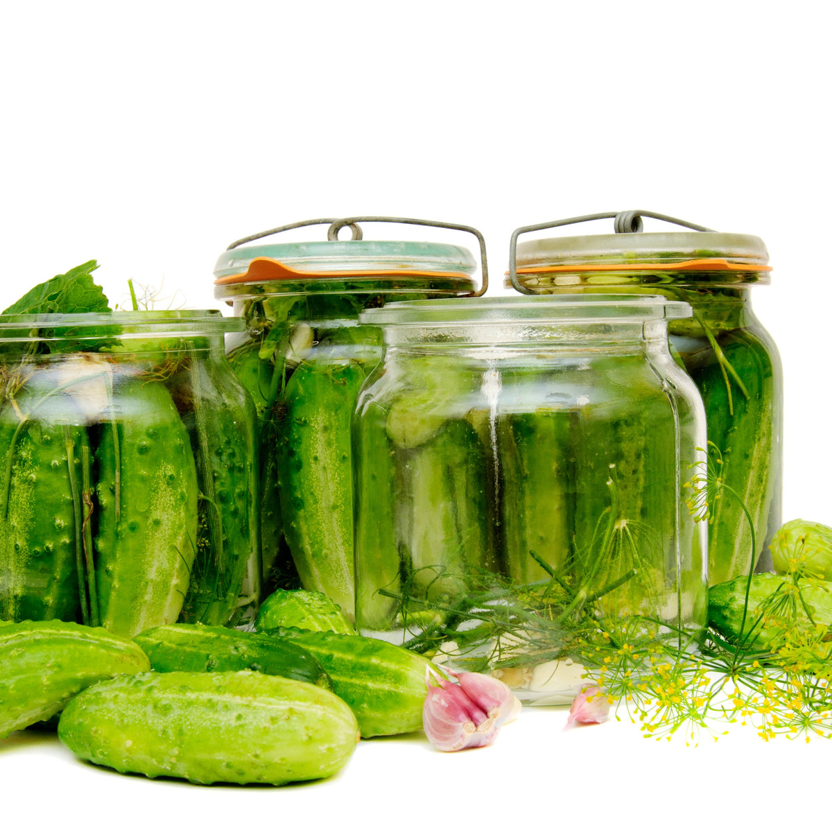 Clip lid glass jars filled with pickled cucumbers and herbs, showing how The Preserve 1 Litre Jar from The Herb Shed in Wollongong, Australia, can be used for homemade pickles and preserving.