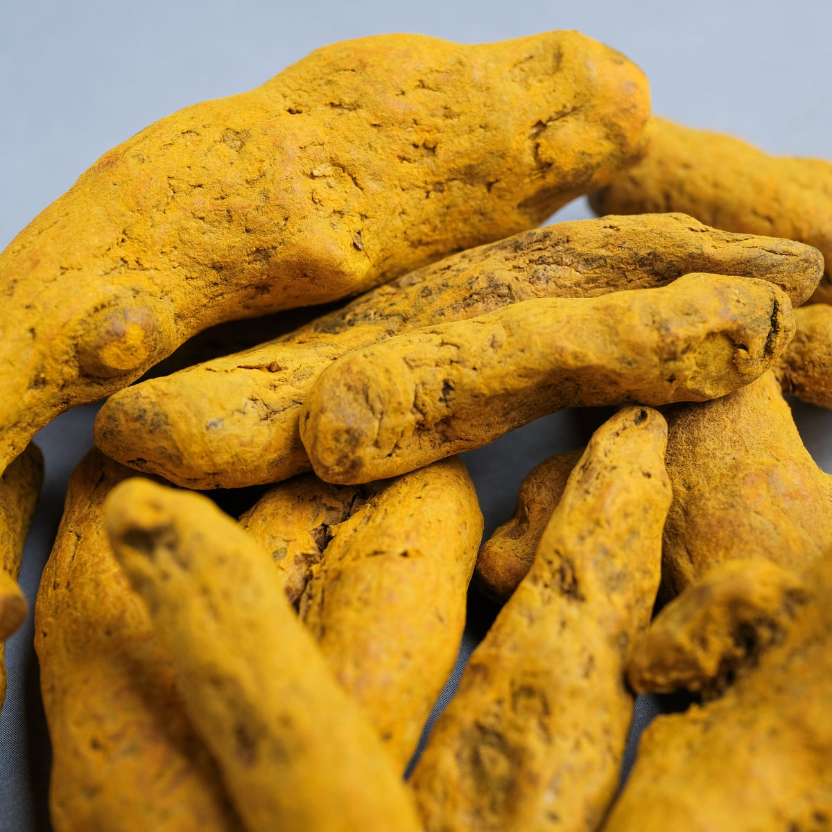 A close-up pile of dried turmeric fingers with rough, textured skin and vibrant golden-yellow colour, from The Herb Shed Wollongong Australia.