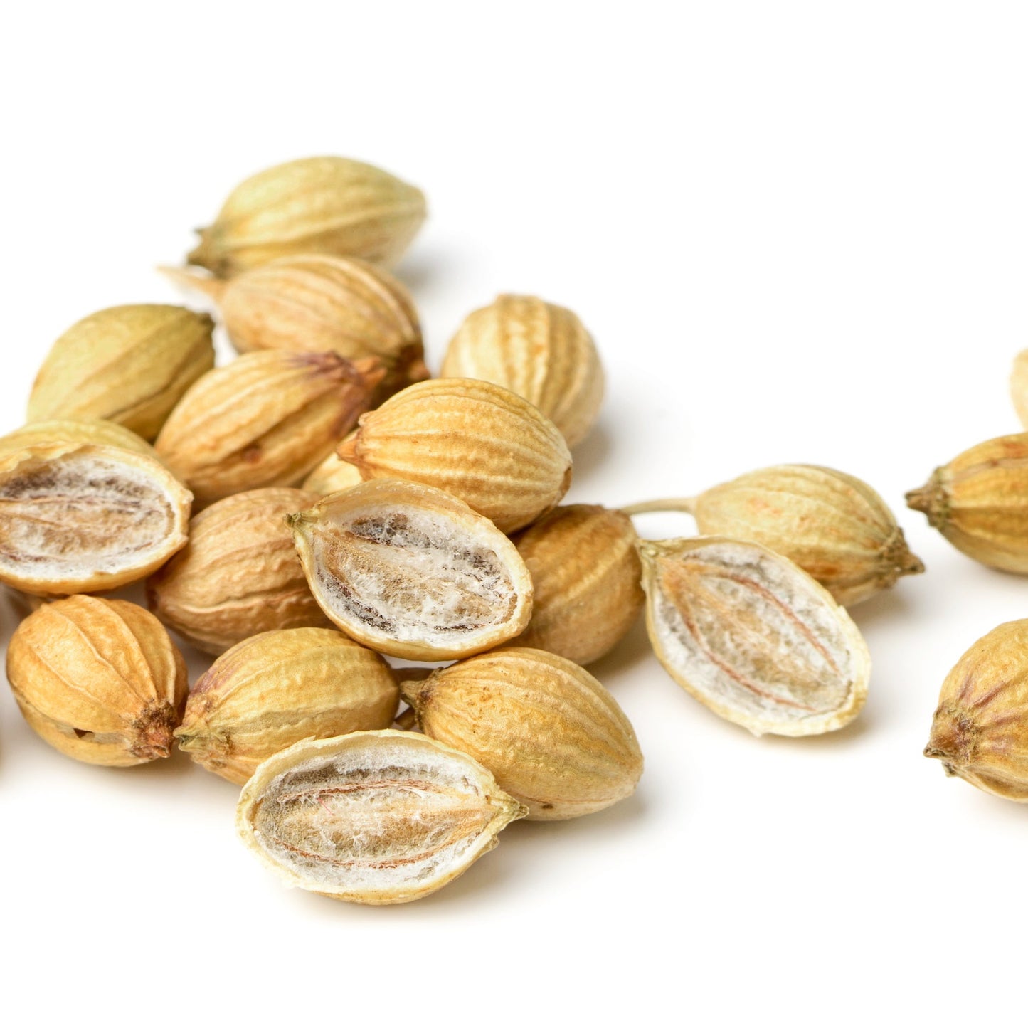 Close-up of dried coriander seed splits on a white background – The Herb Shed Wollongong