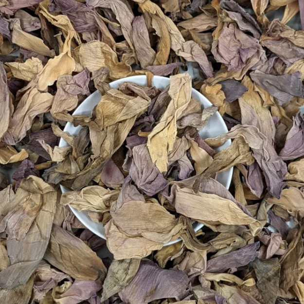 Close-up of dried sacred lotus flower – delicate herbal petals from The Herb Shed Wollongong
