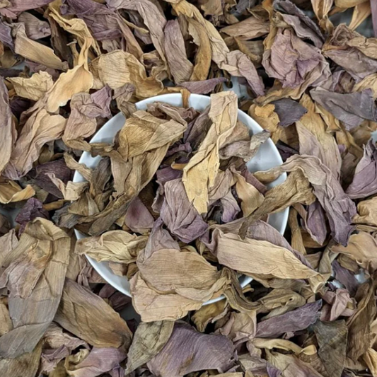 Close-up of dried sacred lotus flower – delicate herbal petals from The Herb Shed Wollongong