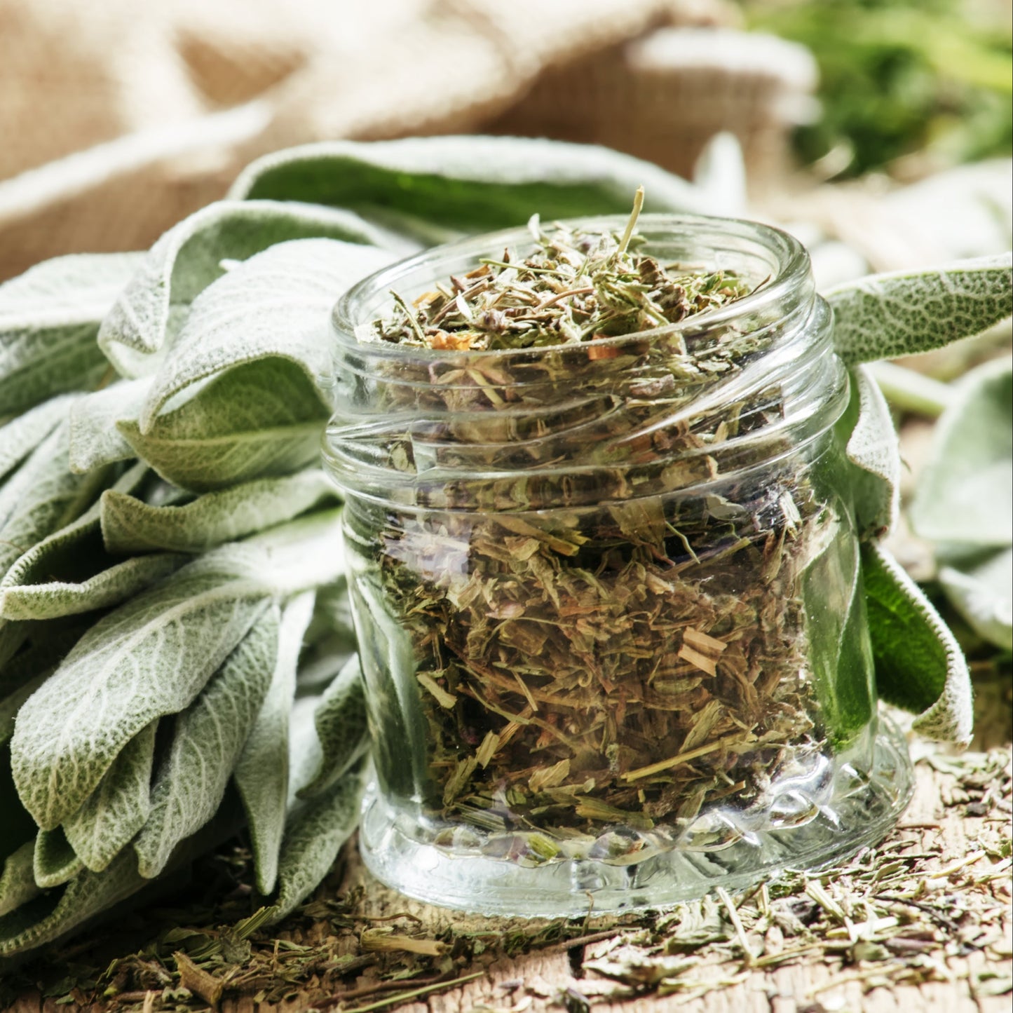 Dried sage bundled in a glass jar on a wooden table with fresh sage leaves surrounding it – aromatic green herb from The Herb Shed Wollongong