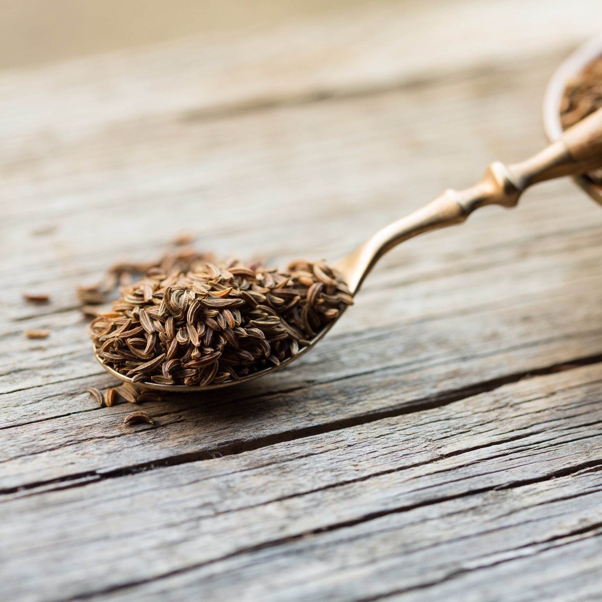 Organic caraway seeds on wooden spoon from The Herb Shed Wollongong