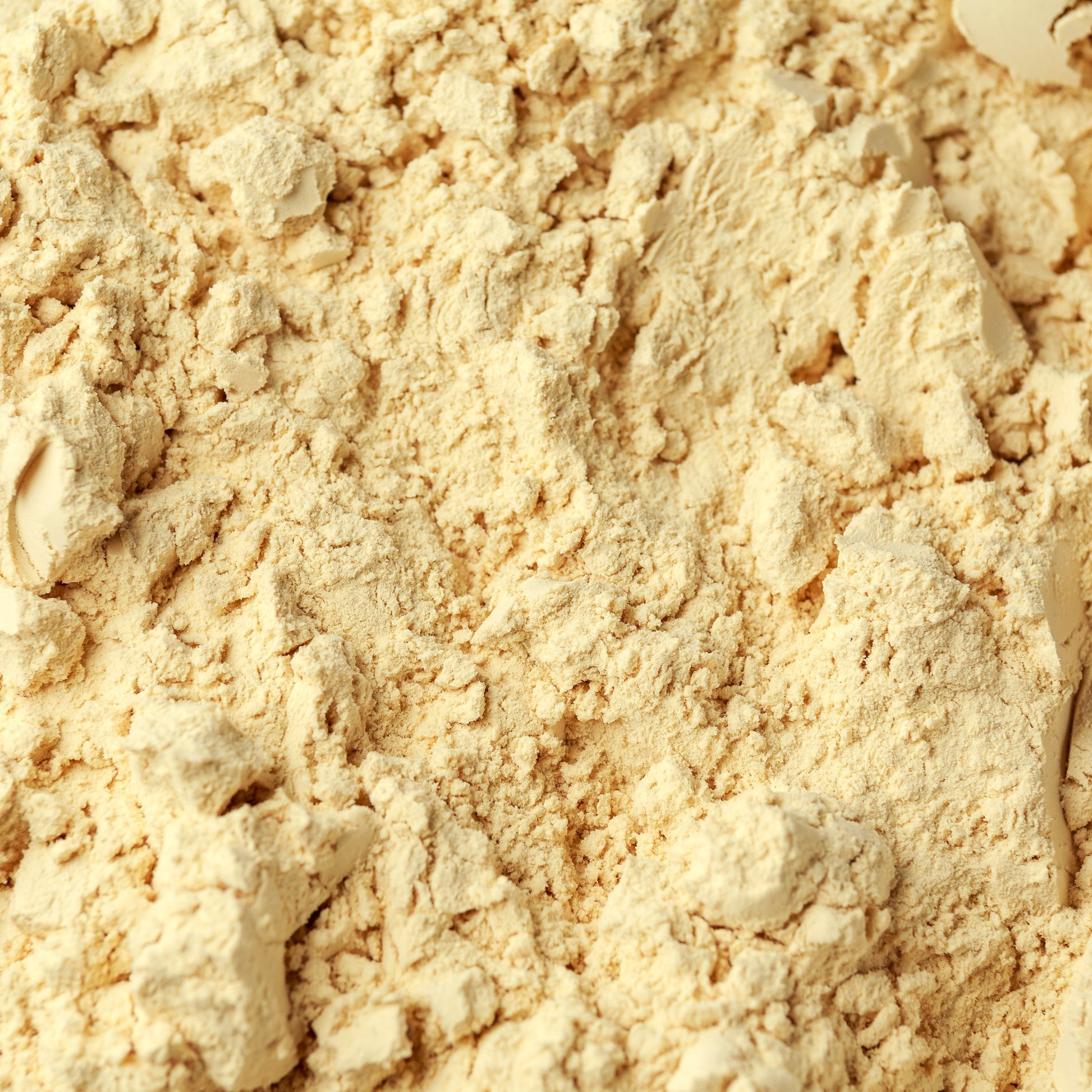 Close-up of pea protein powder – fine pale plant protein from The Herb Shed Wollongong