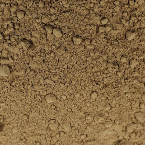 Macro shot of rhubarb root powder – detailed view of earthy herbal powder from The Herb Shed Wollongong