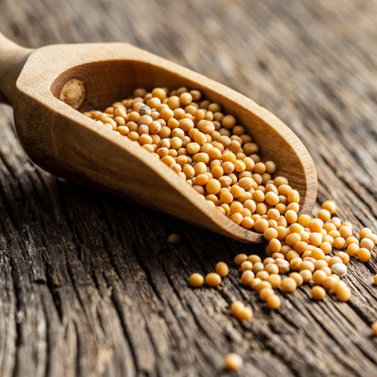 Mustard Yellow Seeds | Organic | Whole Culinary Spice